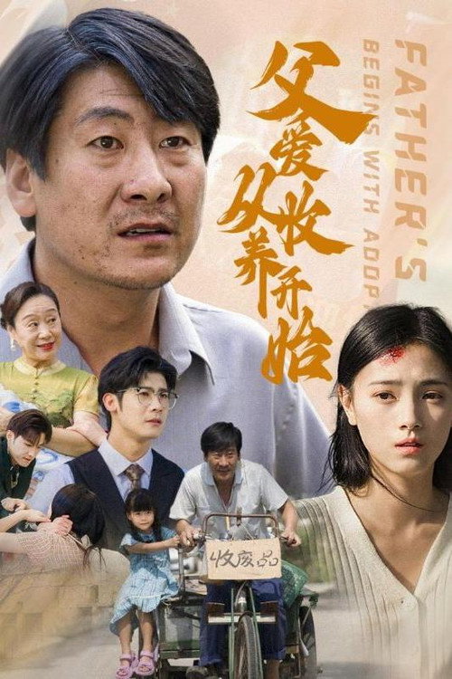 父爱从收养开始 poster