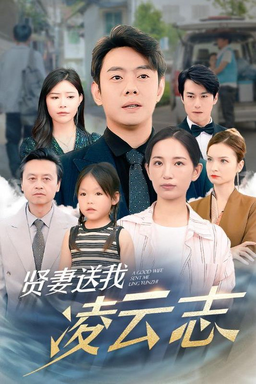 贤妻送我凌云志 poster