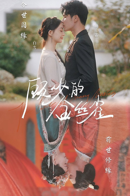 顾少的金丝雀 poster