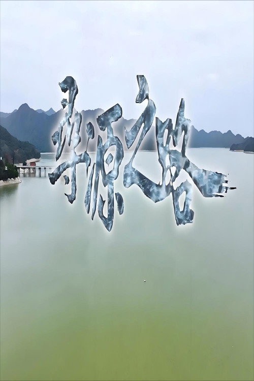 寻源之路 poster