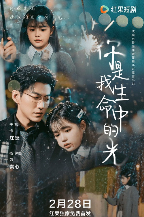 你是我生命中的光 poster