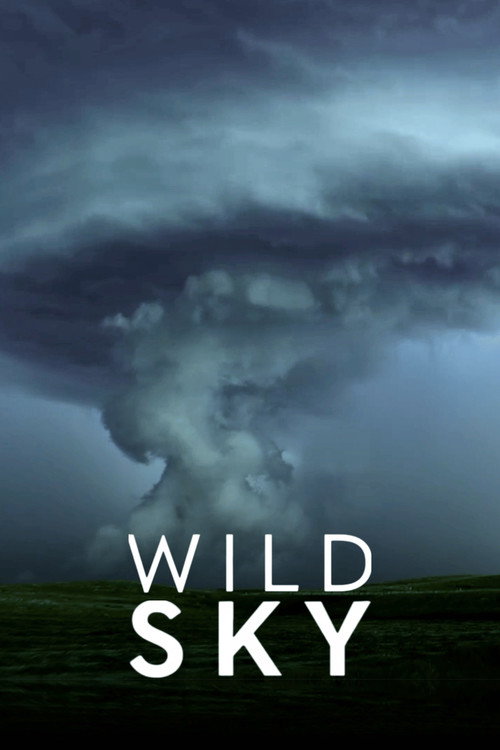 Wild Sky poster