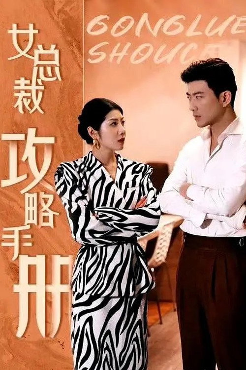 女总裁攻略手册 poster