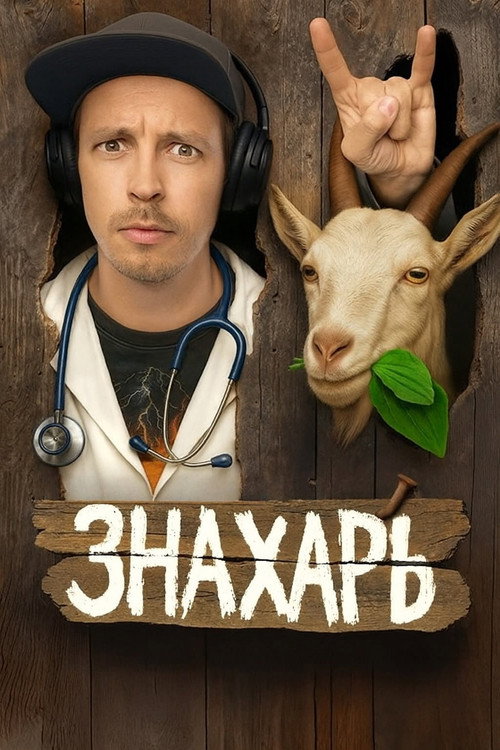 Знахарь poster