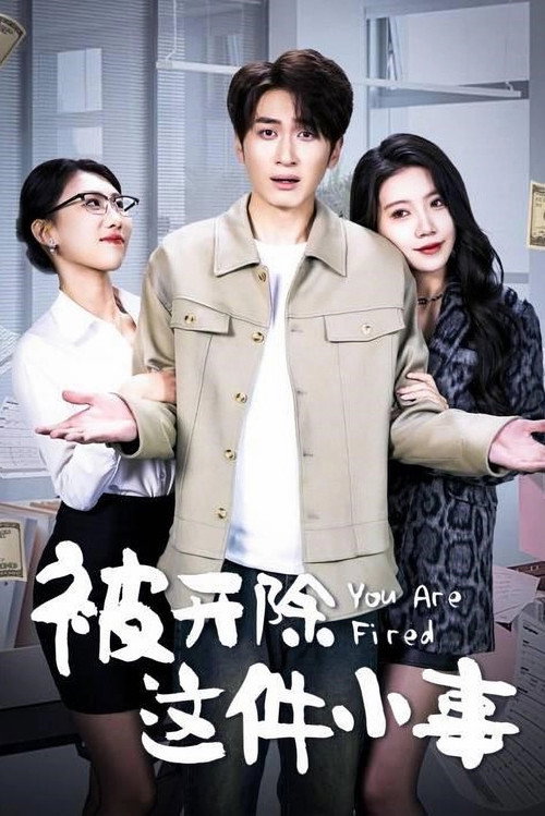 被开除这件小事 poster