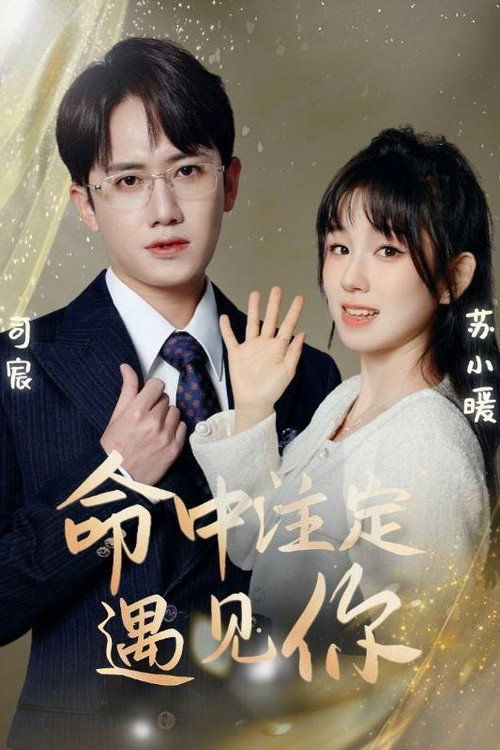 命中注定遇见你 poster