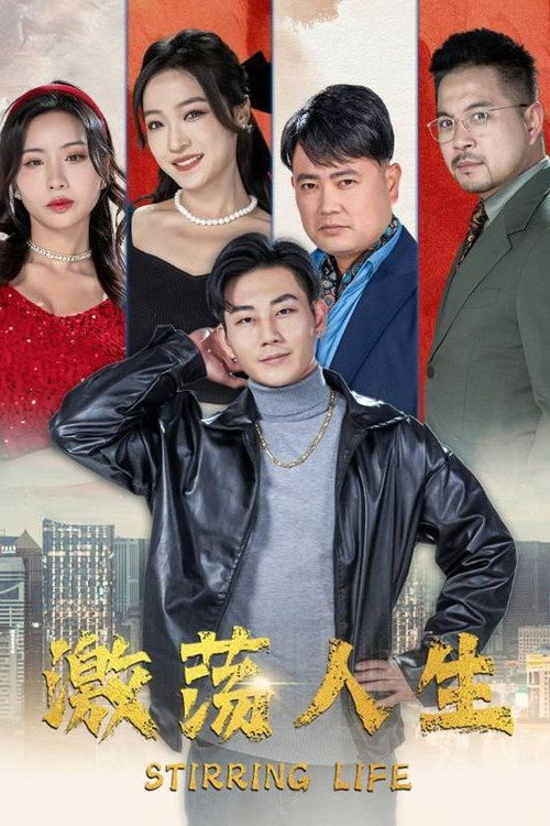 激荡人生 poster