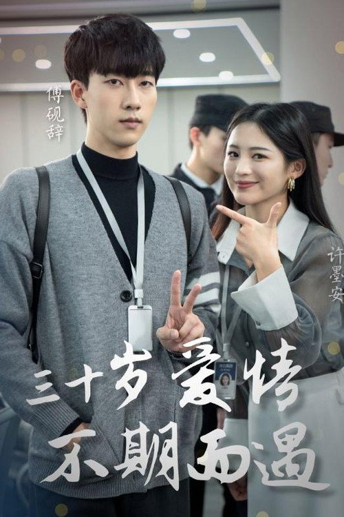 三十岁爱情不期而遇 poster
