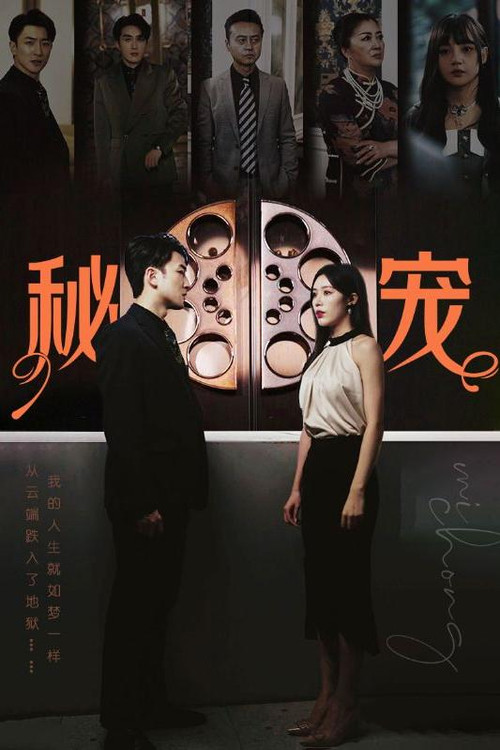 秘宠 poster