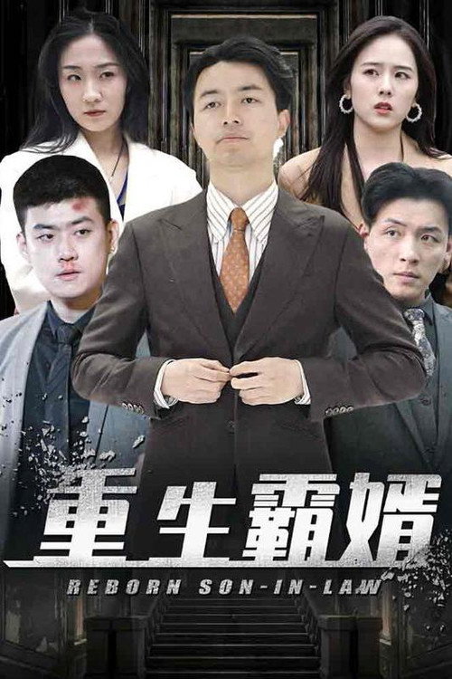 重生霸婿 poster