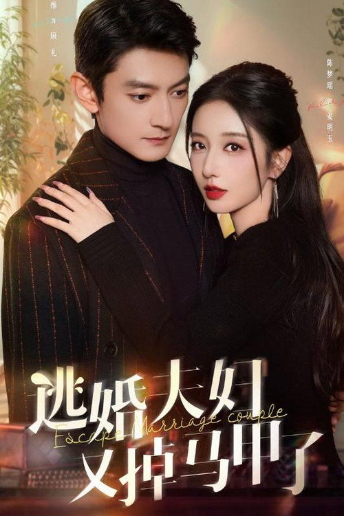 逃婚夫妇又掉马甲了 poster