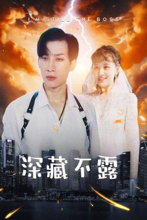 深藏不露 poster