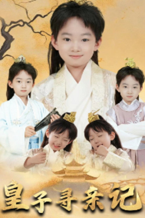 皇子寻亲记 poster