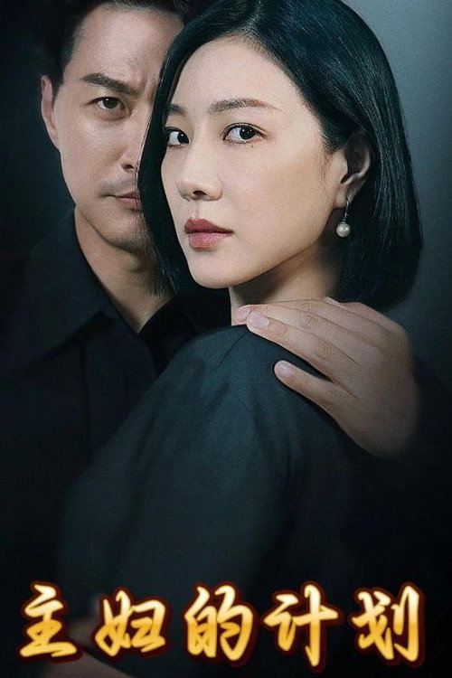 主妇的计划 poster