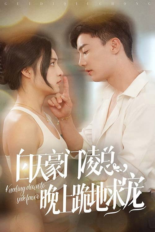 白天豪门凌总,晚上跪地求宠 poster