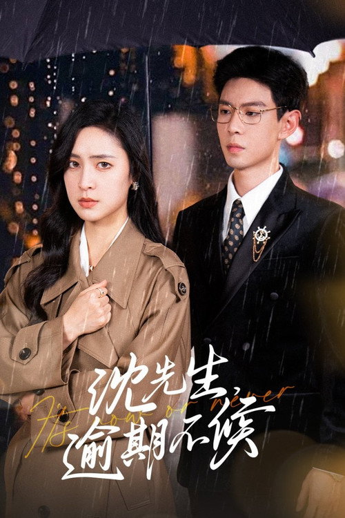 沈先生，逾期不候 poster