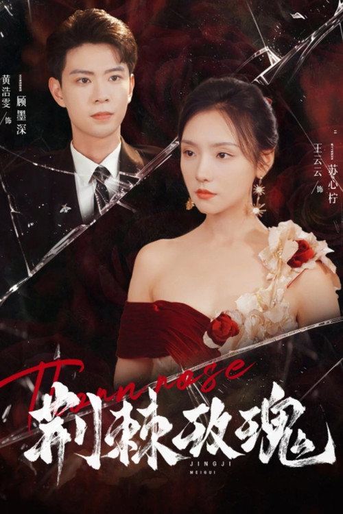 荆棘玫瑰 poster