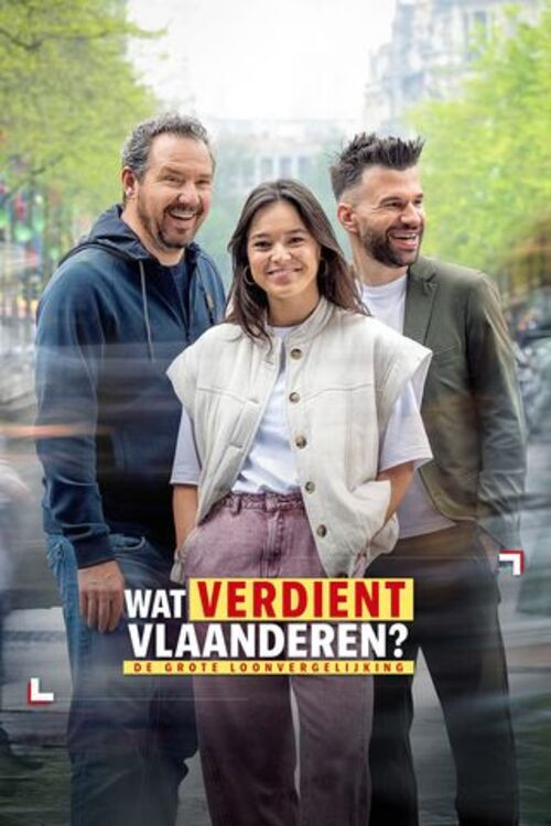 Wat verdient Vlaanderen? poster