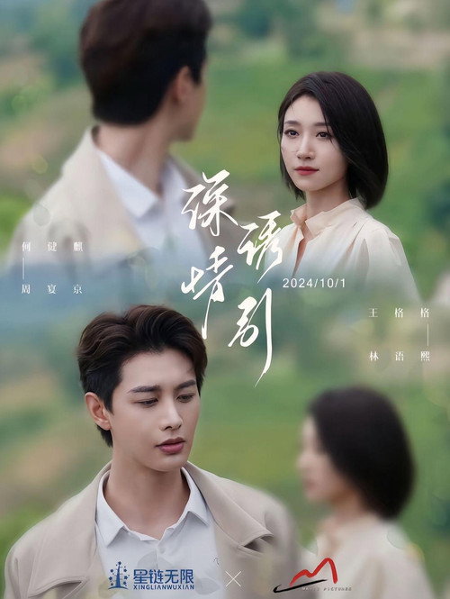 深情诱引 poster