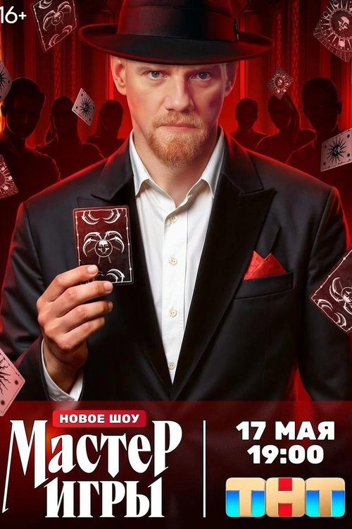 Мастер игры poster