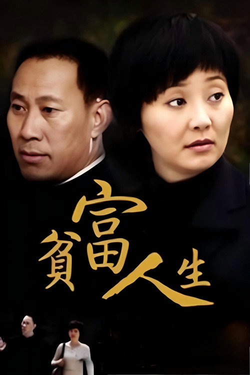 贫富人生 poster