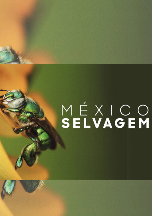 México Selvagem poster