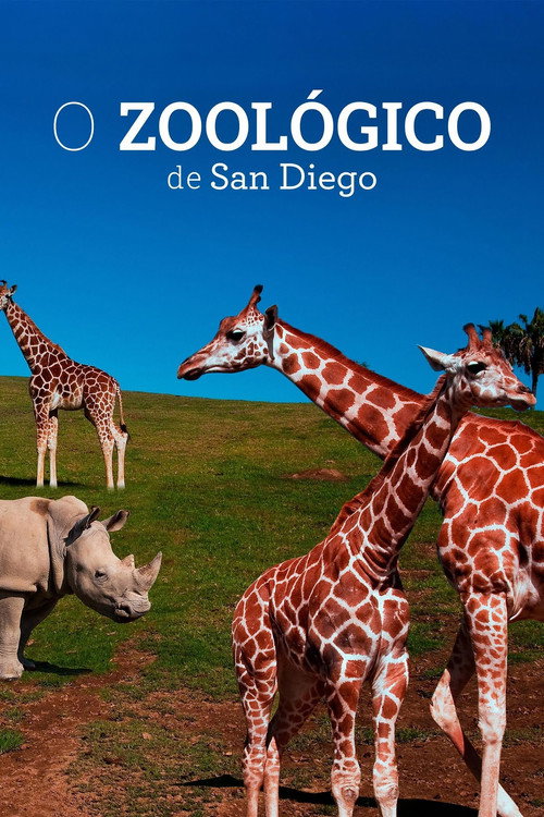 O Zoológico de San Diego poster