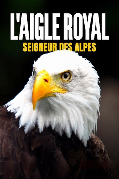 L'aigle royal, seigneur des Alpes poster
