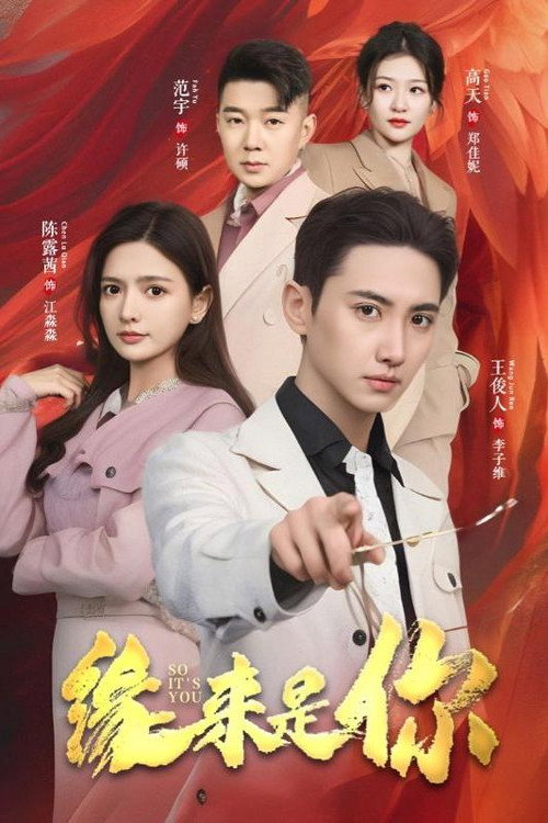 So It's You poster