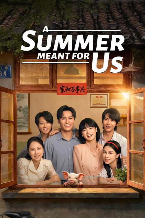 A Summer Meant for Us poster