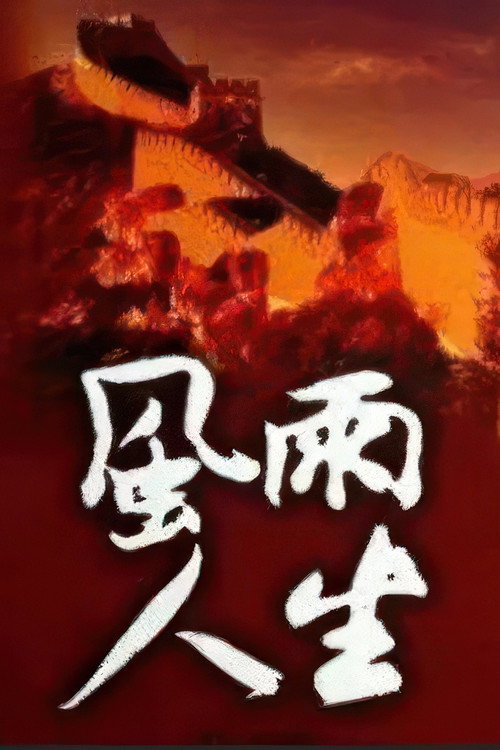 风雨人生 poster