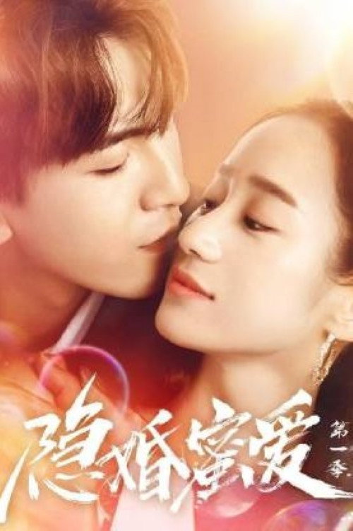 隐婚蜜爱 poster
