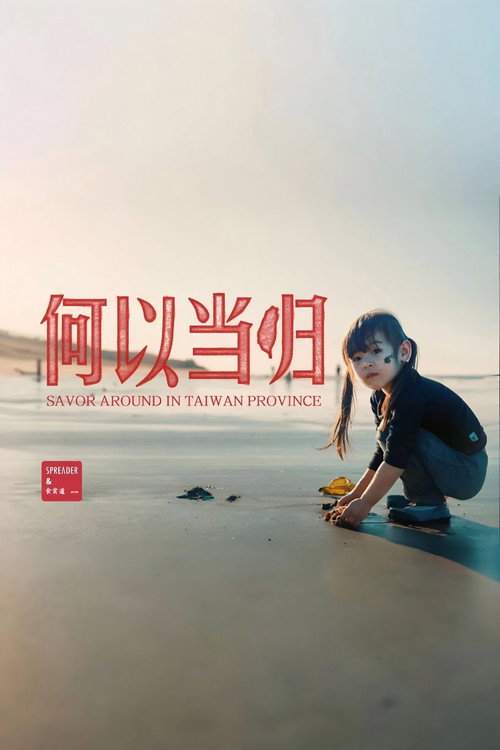 台湾吃饭故事：何以当归 poster