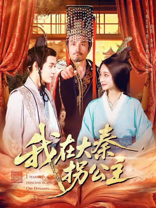 我在大秦拐公主 poster
