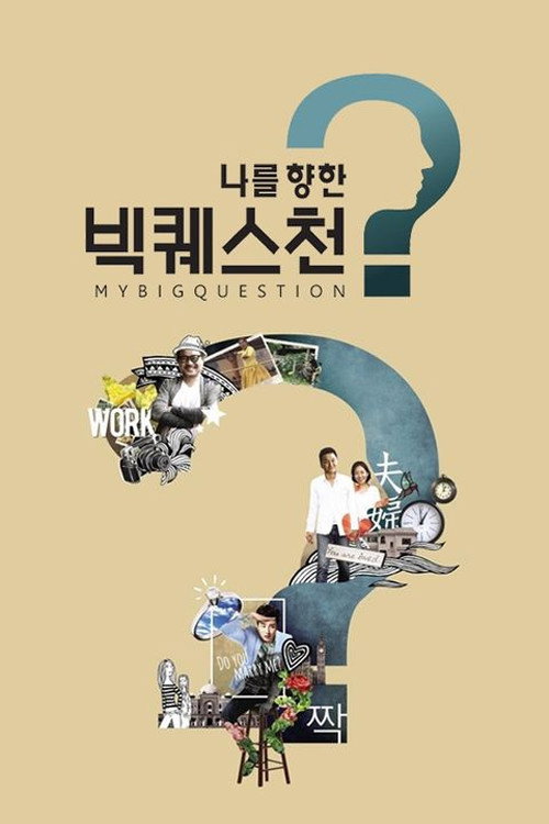 나를 향한 빅퀘스천 poster