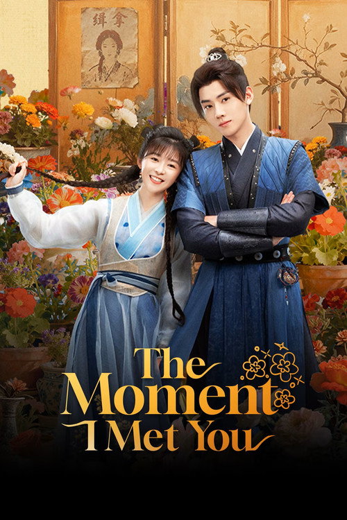 The Moment I Met You poster