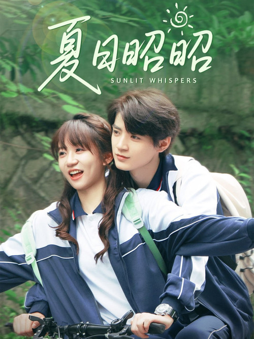 夏日昭昭 poster