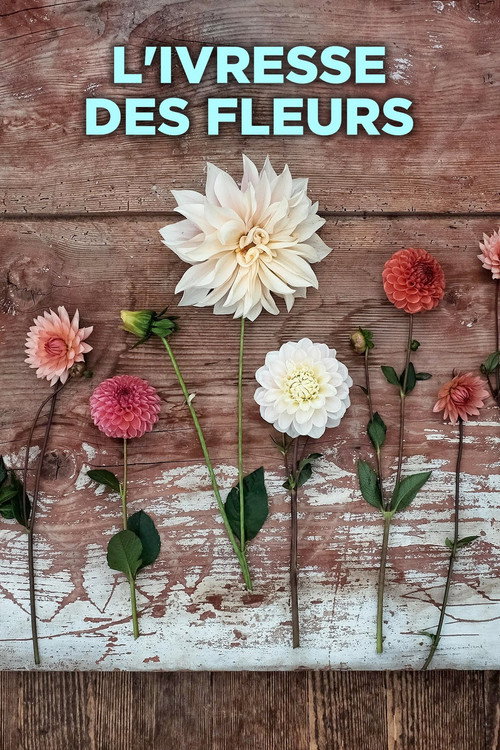 L'ivresse des fleurs poster