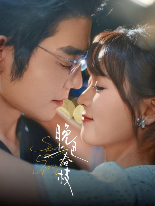 晚色上春枝 poster