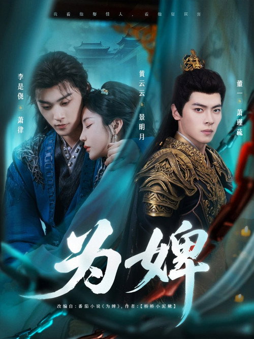 为婢 poster