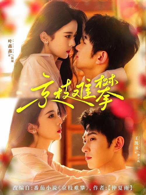 Marriage Escape to Mystery poster