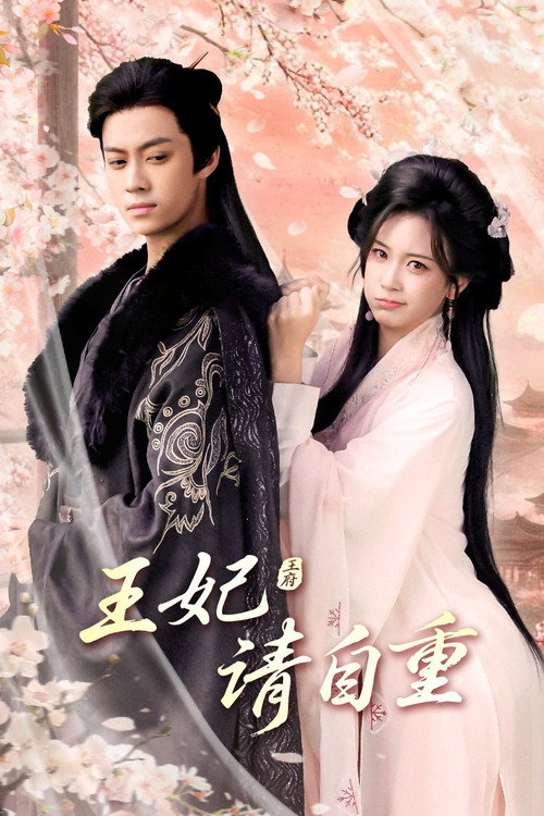 王妃请自重 poster
