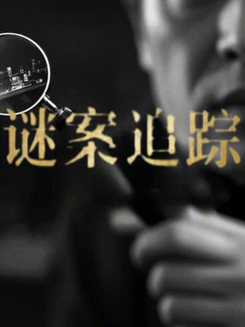 谜案追踪 poster