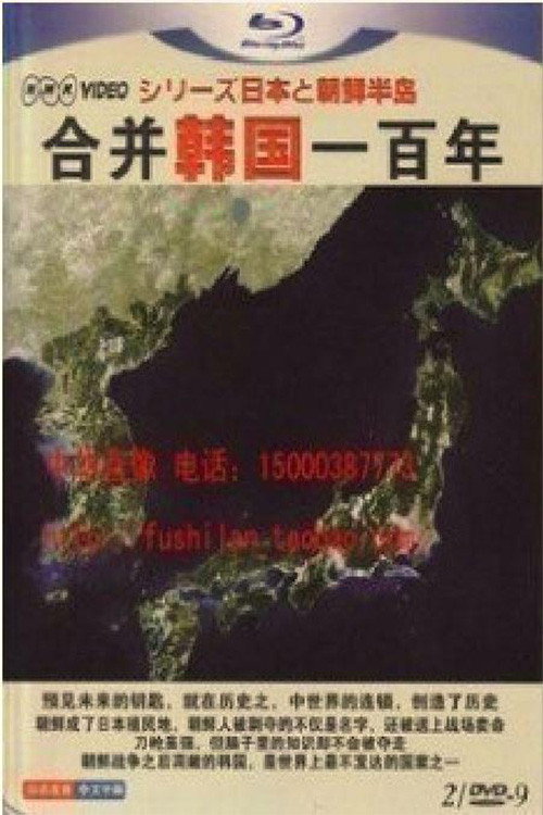 合并韩国一百年 poster