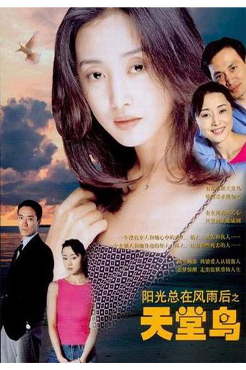 天堂鸟 poster