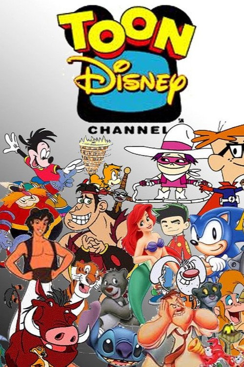 Toon Disney Saturday Mornings poster