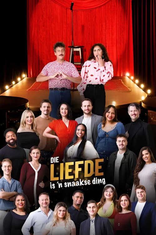 Die Liefde is 'n Snaakse Ding poster