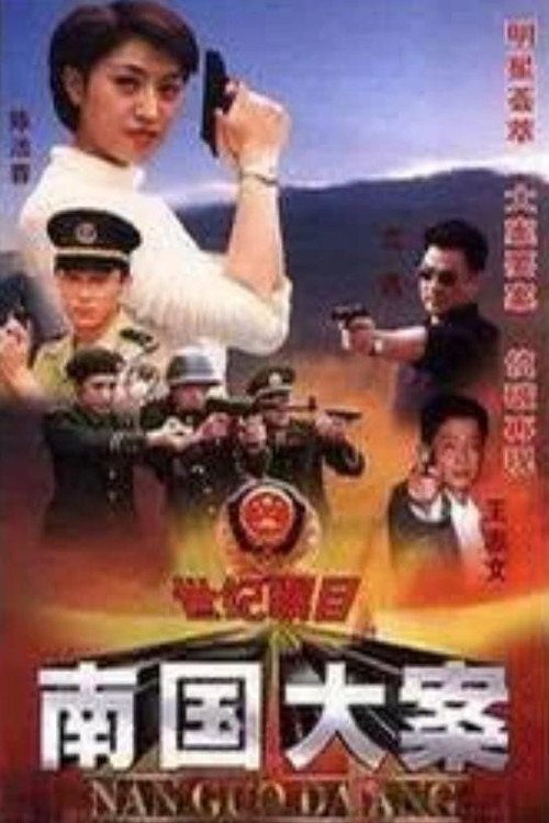 南国大案 poster