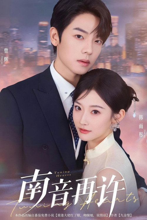 南音再许 poster