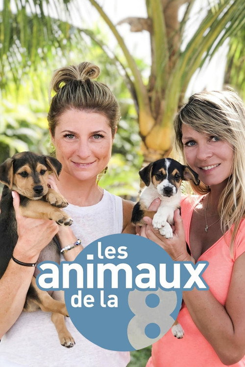 Les animaux de la 8 poster